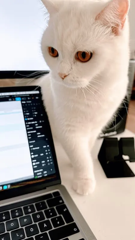 Nookie